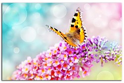 Obraz na stenu ZS - bez pomeru strán